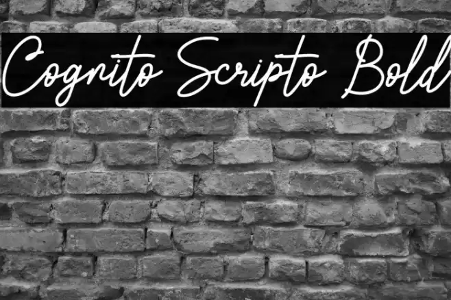 Cognito Scripto Bold Font examples