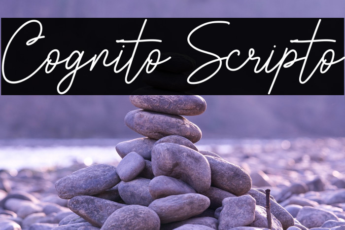 Cognito Scripto Example 2