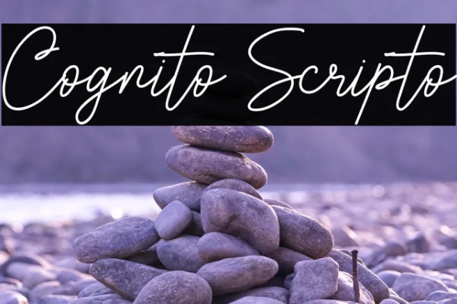 Cognito Scripto Example 2