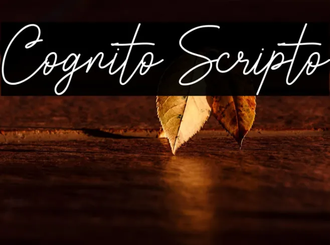Cognito Scripto Example 3