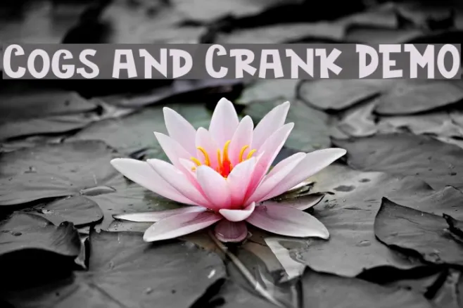 Cogs and Crank DEMO Example 2