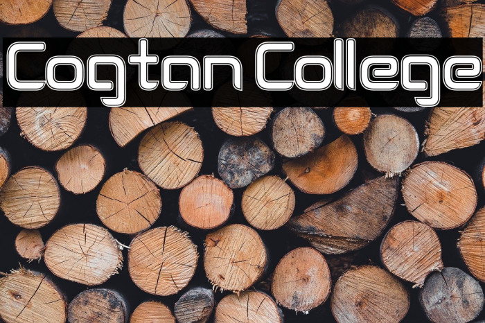 Cogtan College Example 2