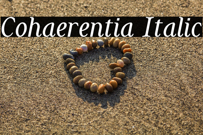 Cohaerentia Italic Example 2