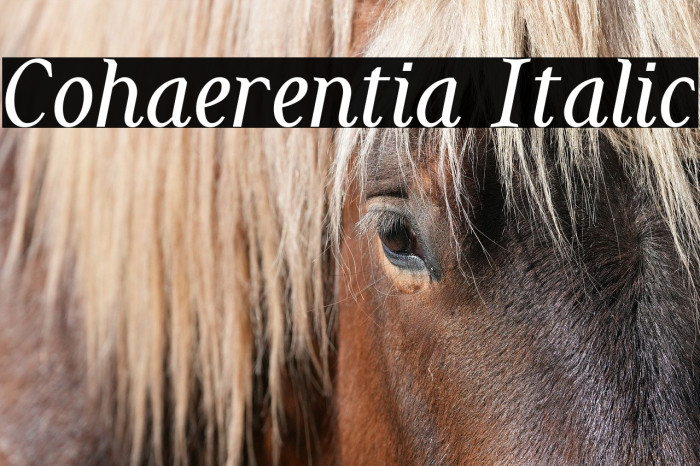 Cohaerentia Italic Example 3