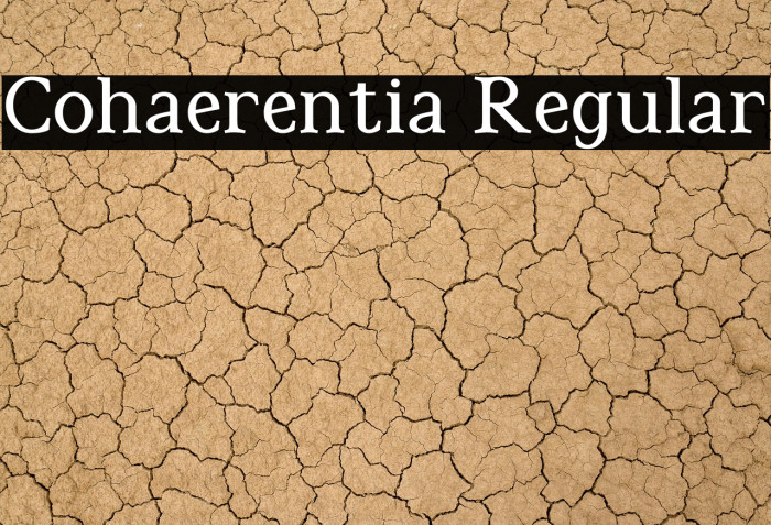 Cohaerentia Regular Example 1