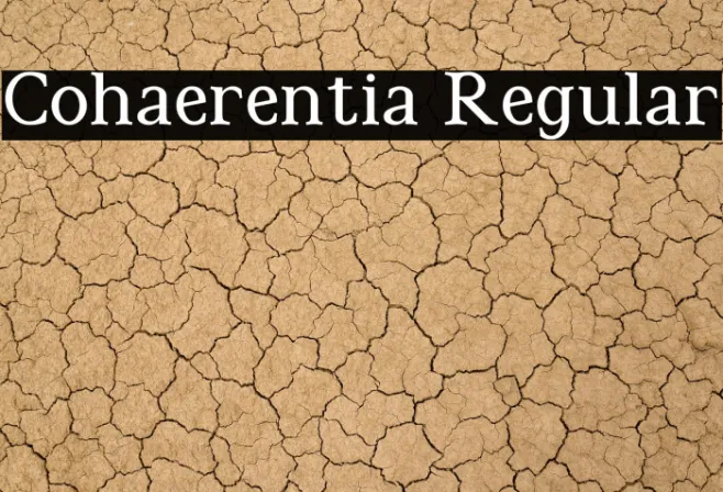 Cohaerentia Regular Example 1