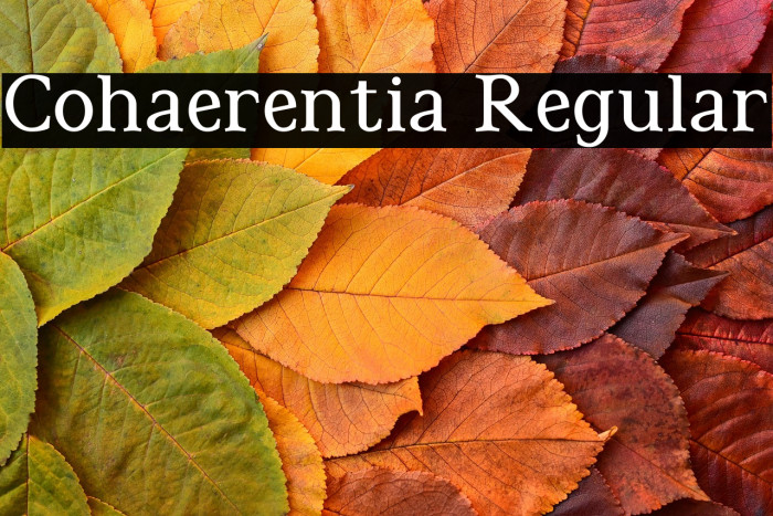 Cohaerentia Regular Example 2