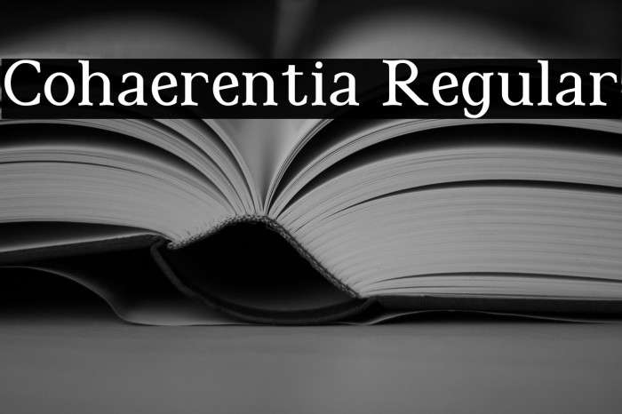 Cohaerentia Regular Example 3