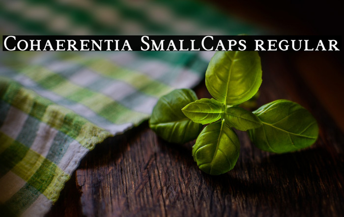 Cohaerentia SmallCaps regular Example 1