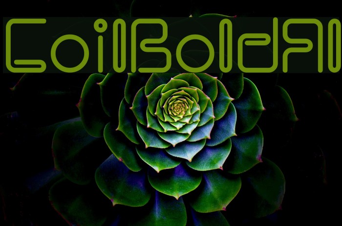 CoilBoldAl Example 2