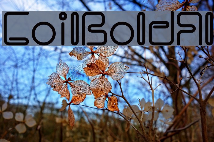 CoilBoldAl Example 3