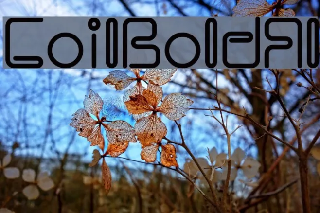 CoilBoldAl Example 3