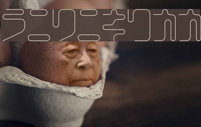 CoilLightKt Example 1