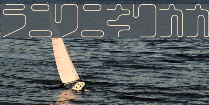 CoilLightKt Example 2