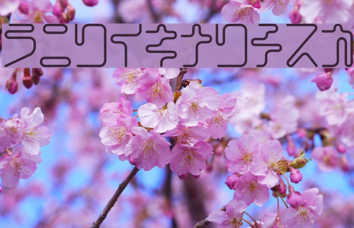 CoilRegularKt Example 2