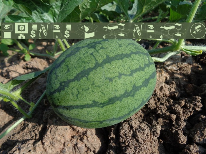 Coincidences Example 1