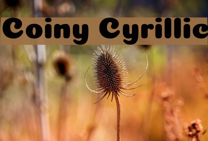 Coiny Cyrillic Font examples