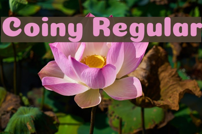 Coiny Regular Font examples