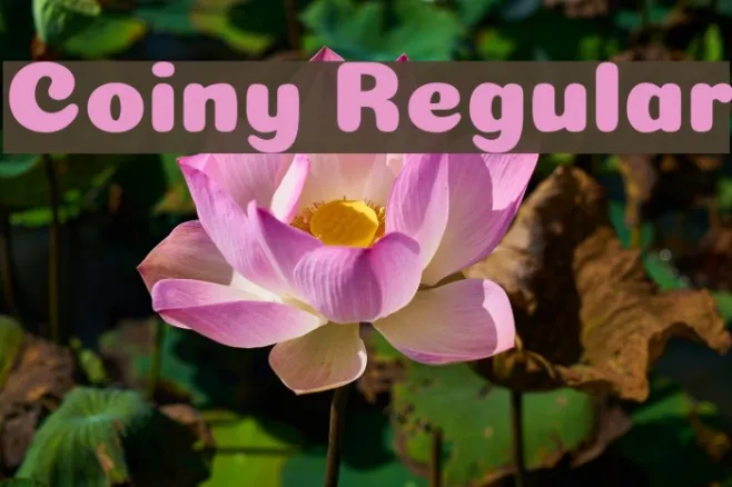 Coiny Regular Example 2
