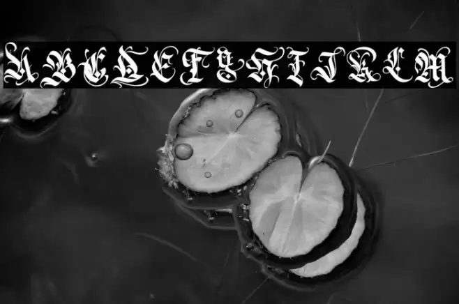 Cojira Font examples