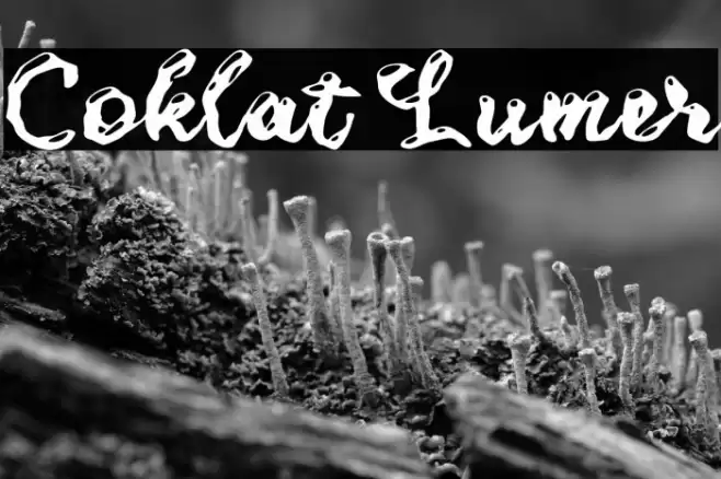 Coklat Lumer Font examples