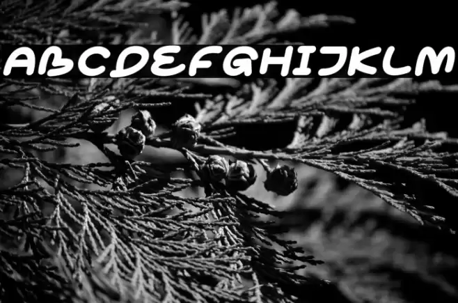 Cokobar Italic フォント examples