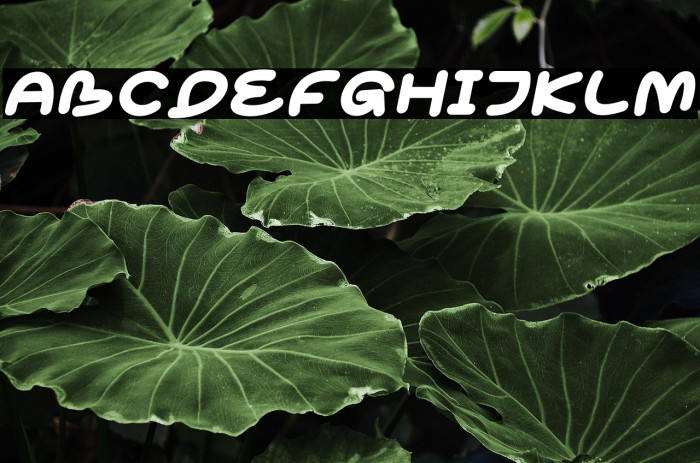 Cokobar Italic Example 2