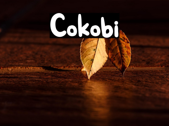 Cokobi Example 1