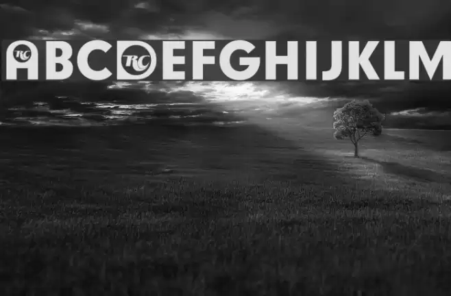 Cola Participants Font examples