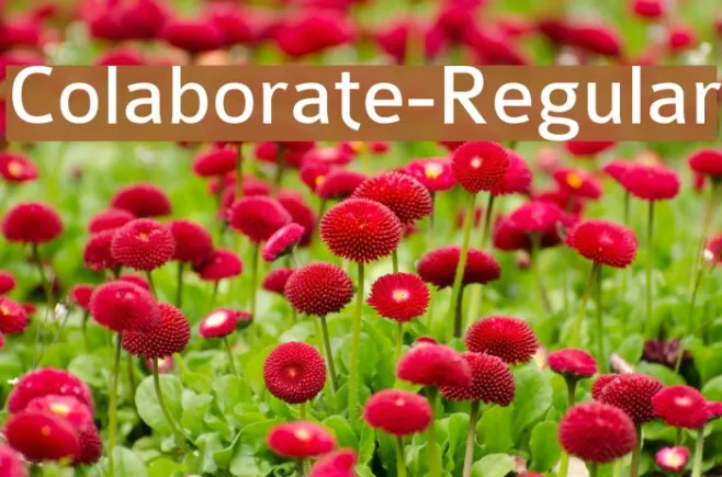 Colaborate-Regular Example 3