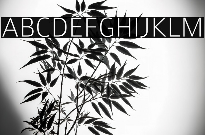 Colaborate-Thin Example 1