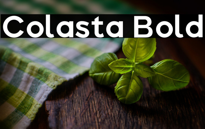 Colasta Bold Example 3