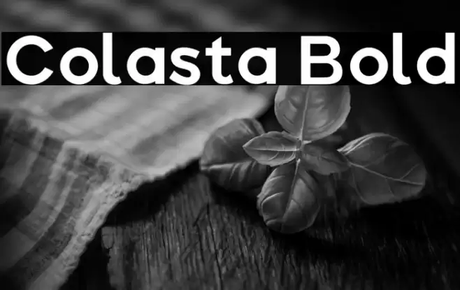 Colasta Bold Font examples