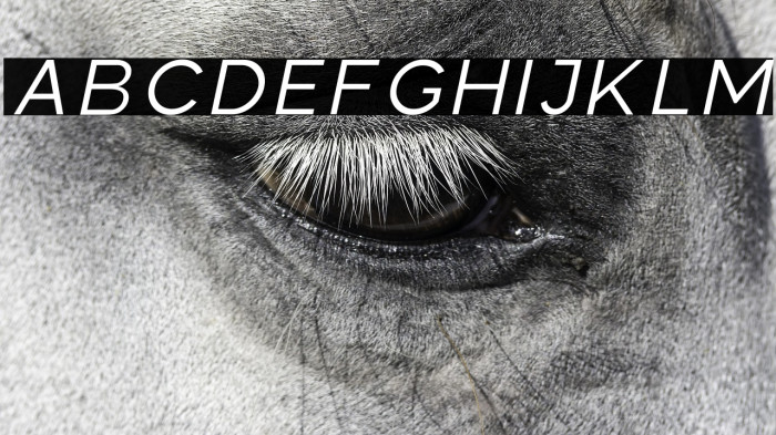 Colasta Light Italic Example 1