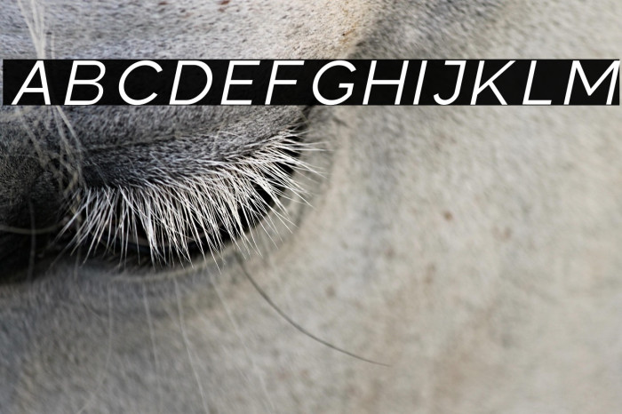 Colasta Light Italic Example 2