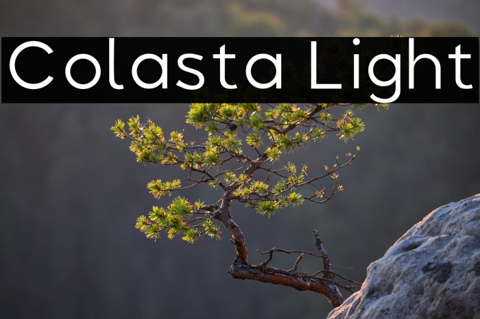 Colasta Light Example 3