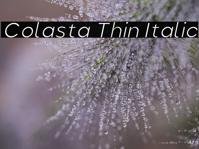 Colasta Thin Italic Example 3