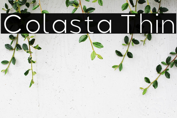 Colasta Thin Example 1