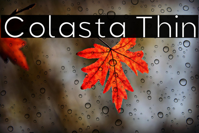 Colasta Thin Example 2