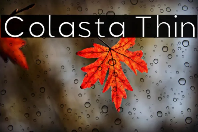 Colasta Thin Example 2