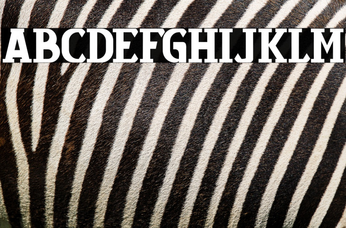 ColbadFREE Example 2