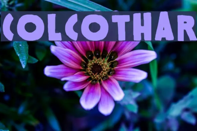 Colcothar Example 2