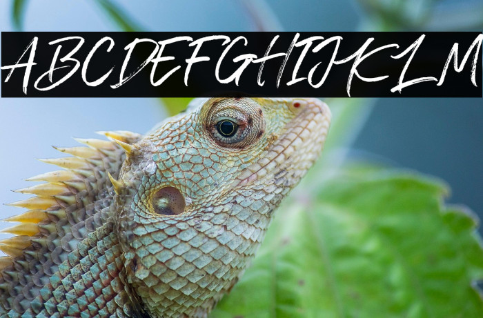 Cold Climate Example 2