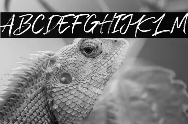 Cold Climate Font examples