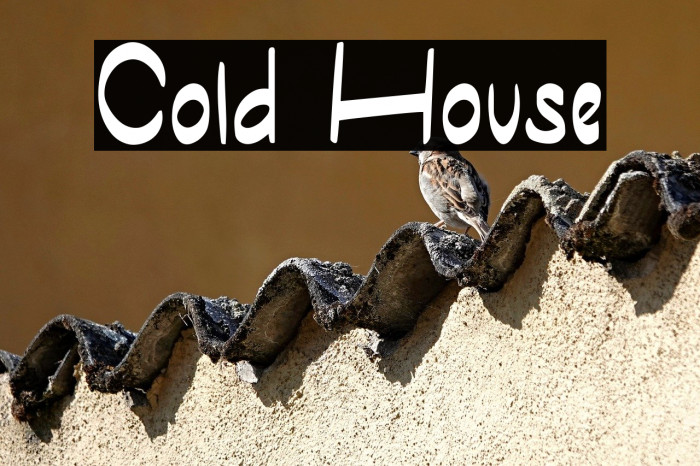 Cold House Example 2