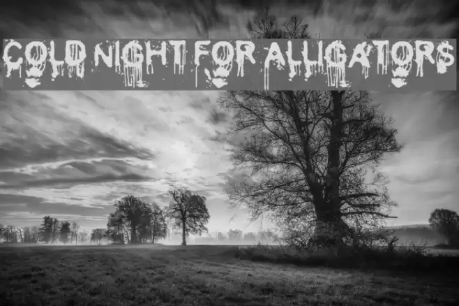 Cold Night for Alligators Шрифта examples