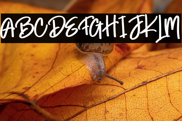 Cold Night Example 3