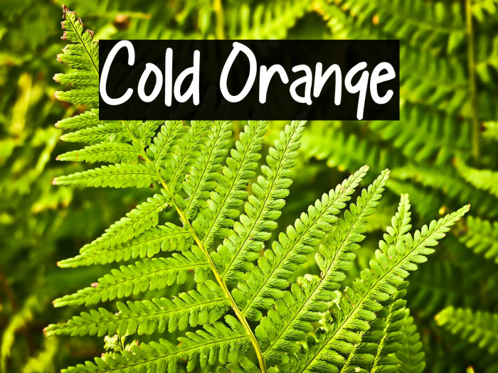 Cold Orange Example 2