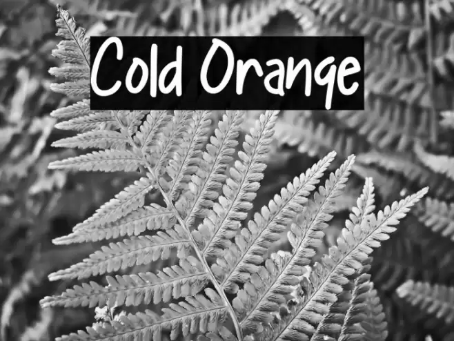 Cold Orange Font examples