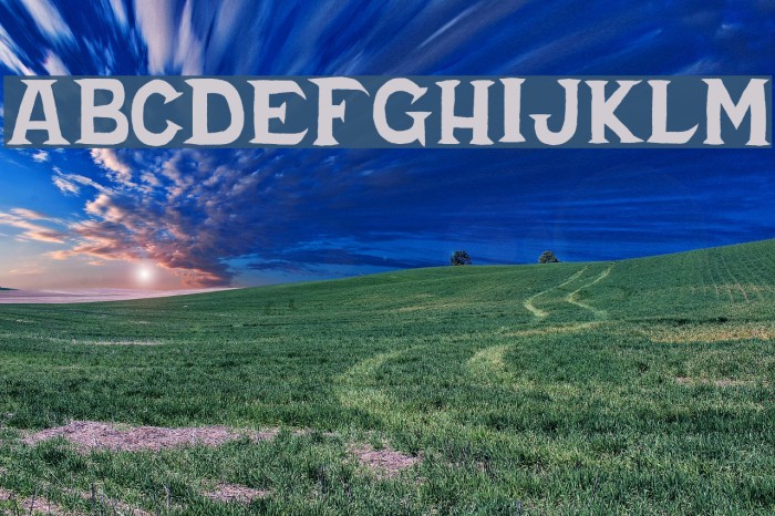 Cold Turkey Example 2